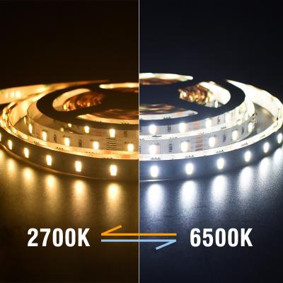 60 LEDs SMD5050 LED Strip