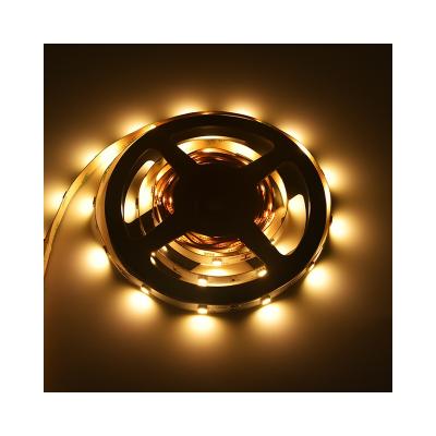 30 LEDs SMD5050 LED Strip